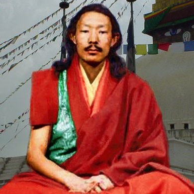 Bongtrül Rinpoche