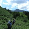 retreat expedition, climbing the scree